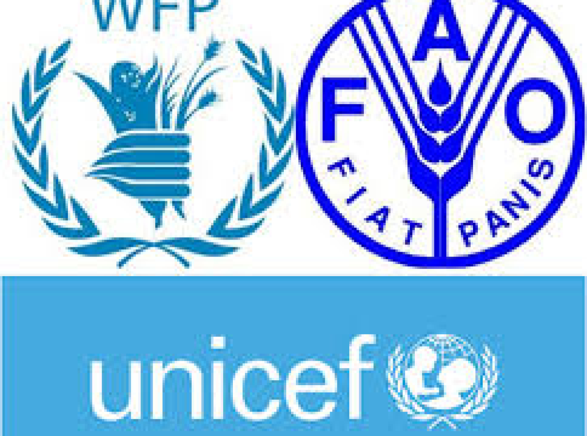 Η FAO, Η UNICEF  ΚΑΙ ΤΟ WFP ΠΡΟΕΙΔΟΠΟΙΟΥΝ ΜΕ ΑΓΩΝΙΑ